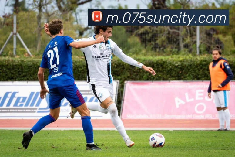 澳门太阳城网站全站App 澳门太阳城网站全站App